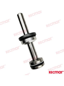 PISTON DE TRIM COMPLET