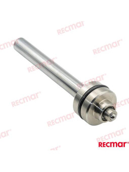 PISTON DE TRIM COMPLET