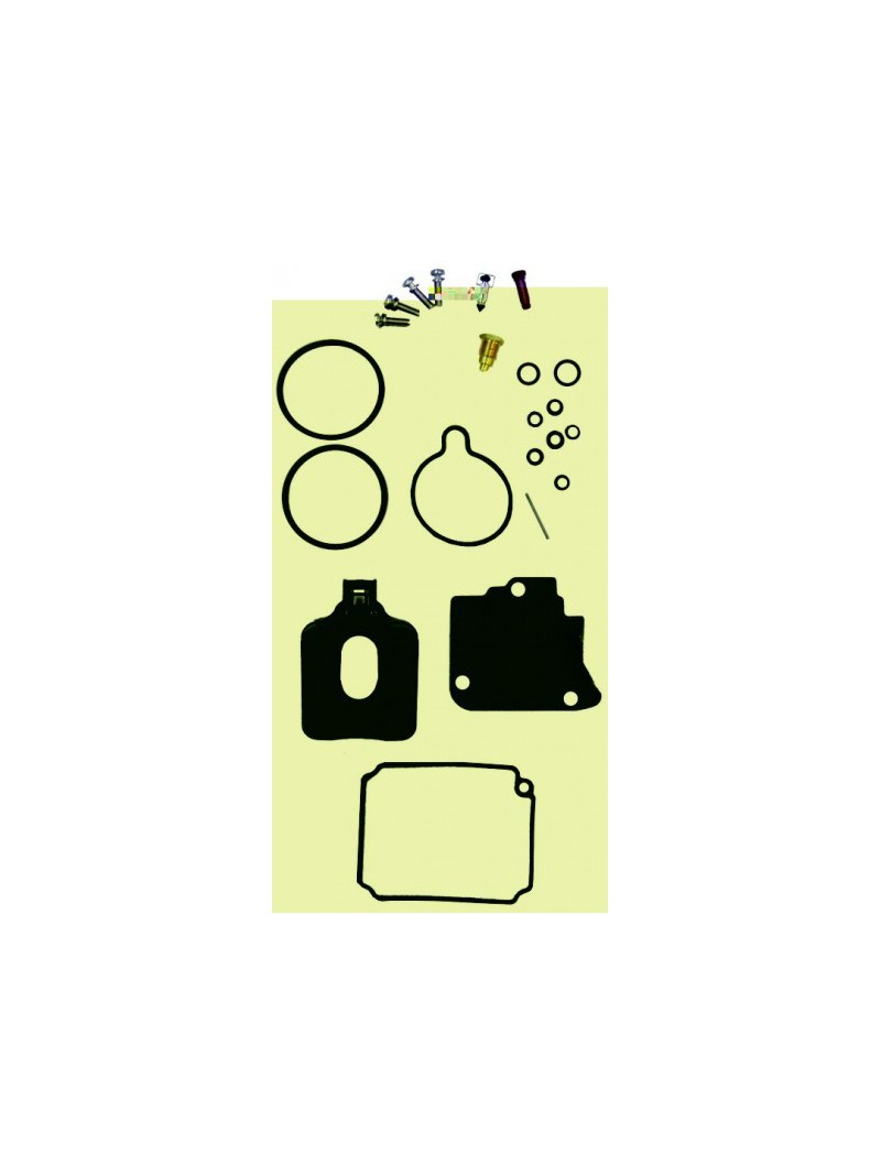 kit carburateur 9.9 / 15cv