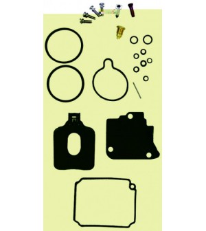 kit carburateur 9.9 / 15cv