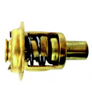 thermostat 9.9 / 55CV