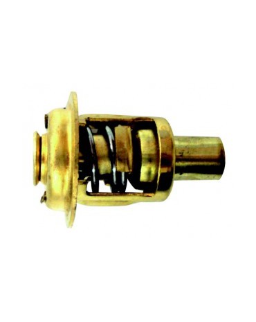 thermostat 9.9 / 55CV