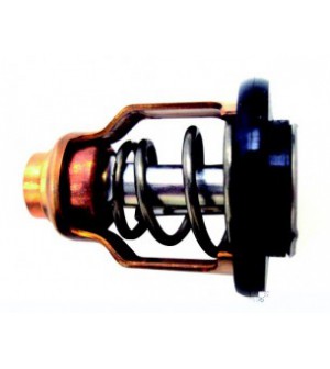 thermostat F75 / F250