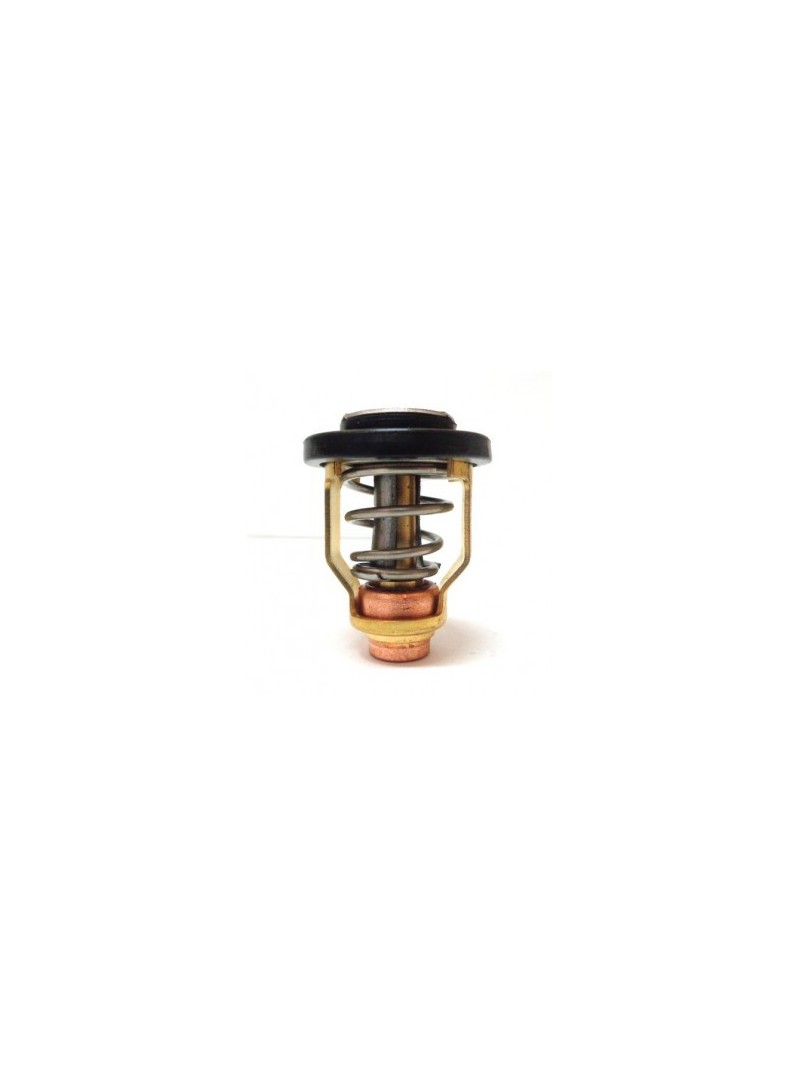 thermostat 9.9 / 250cv