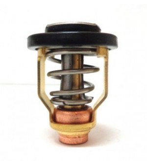 thermostat 9.9 / 250cv