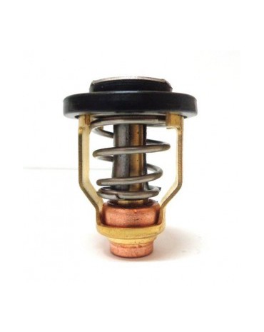 thermostat 9.9 / 250cv