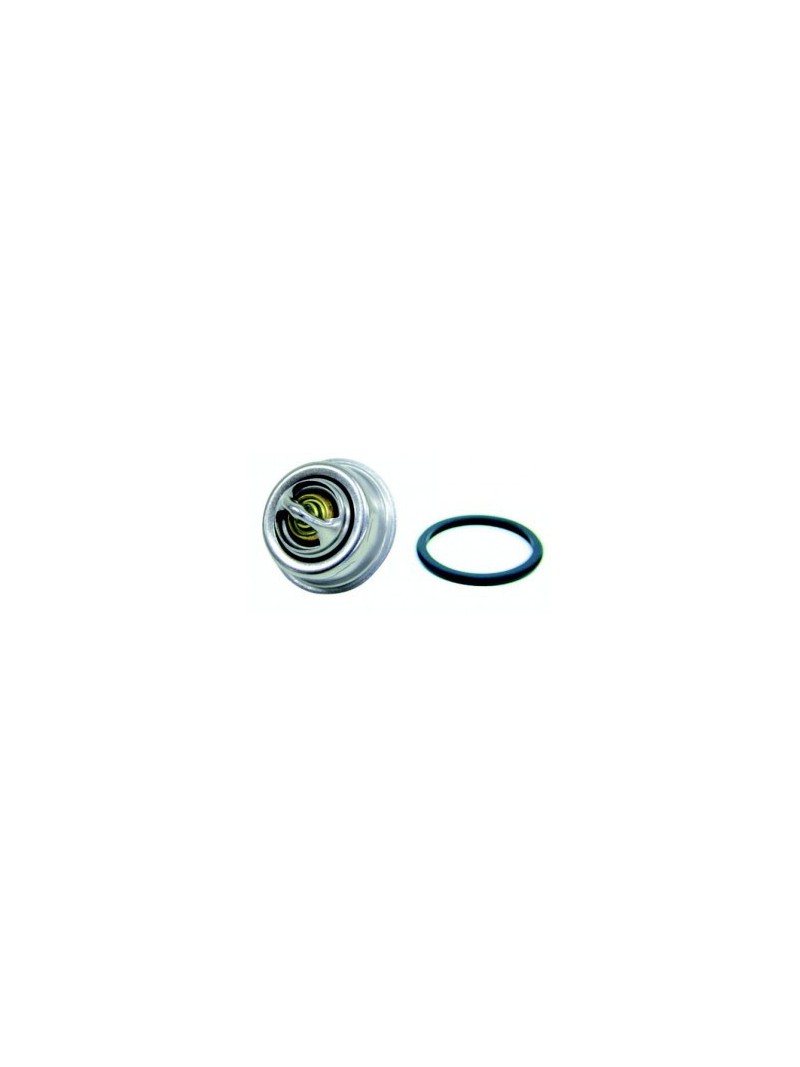 thermostat 74° 2002/2003 diesel