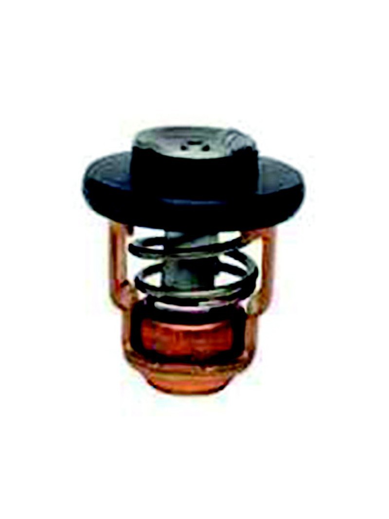 kit thermostat F2.5A