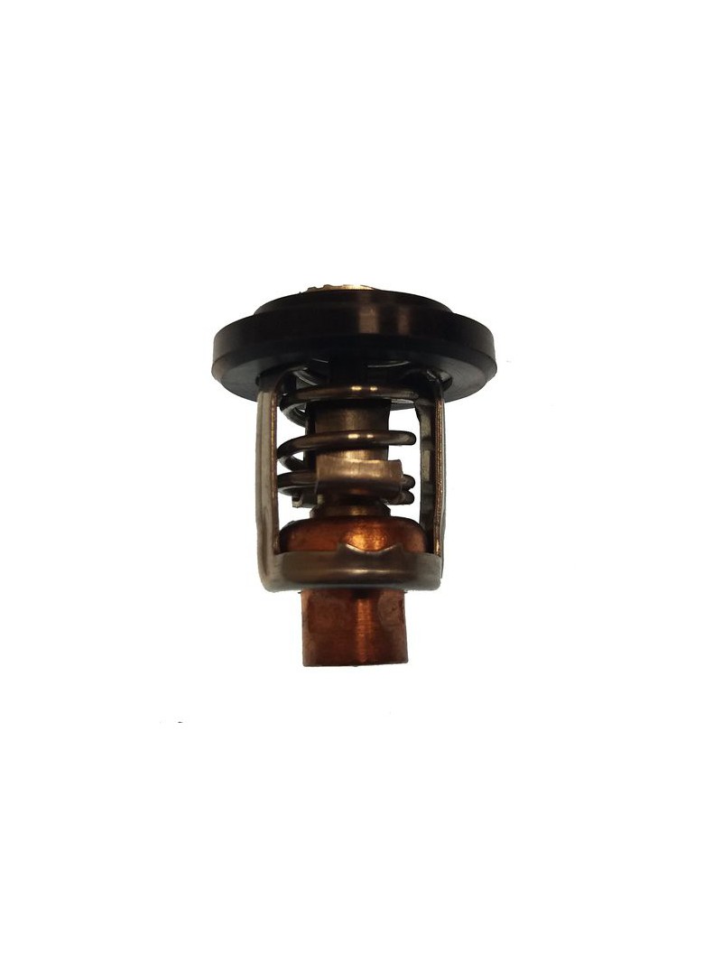 thermostat 4 / 100CV