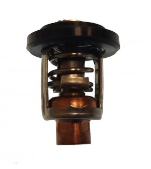 thermostat 4 / 100CV