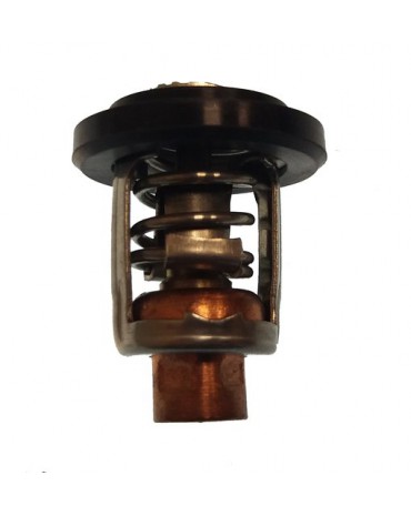 thermostat 4 / 100CV