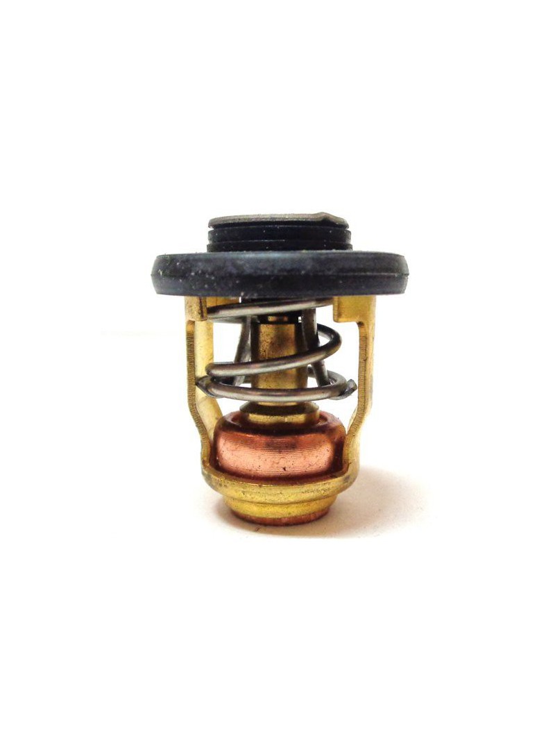 thermostat 50G / 60F / 70B