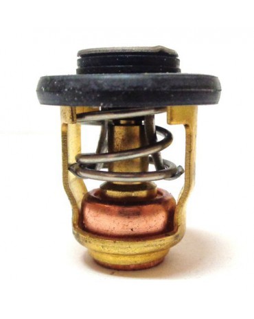 thermostat 50G / 60F / 70B