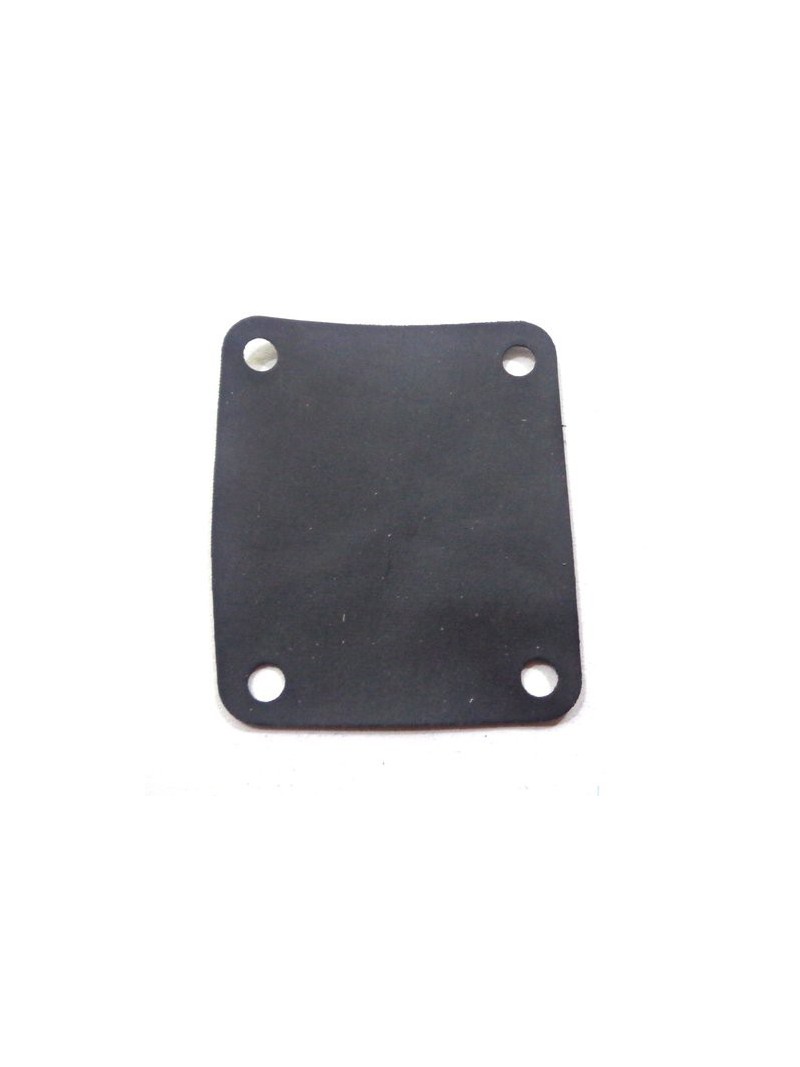 membrane pompe à essence pour 9.9/13.5/15cv