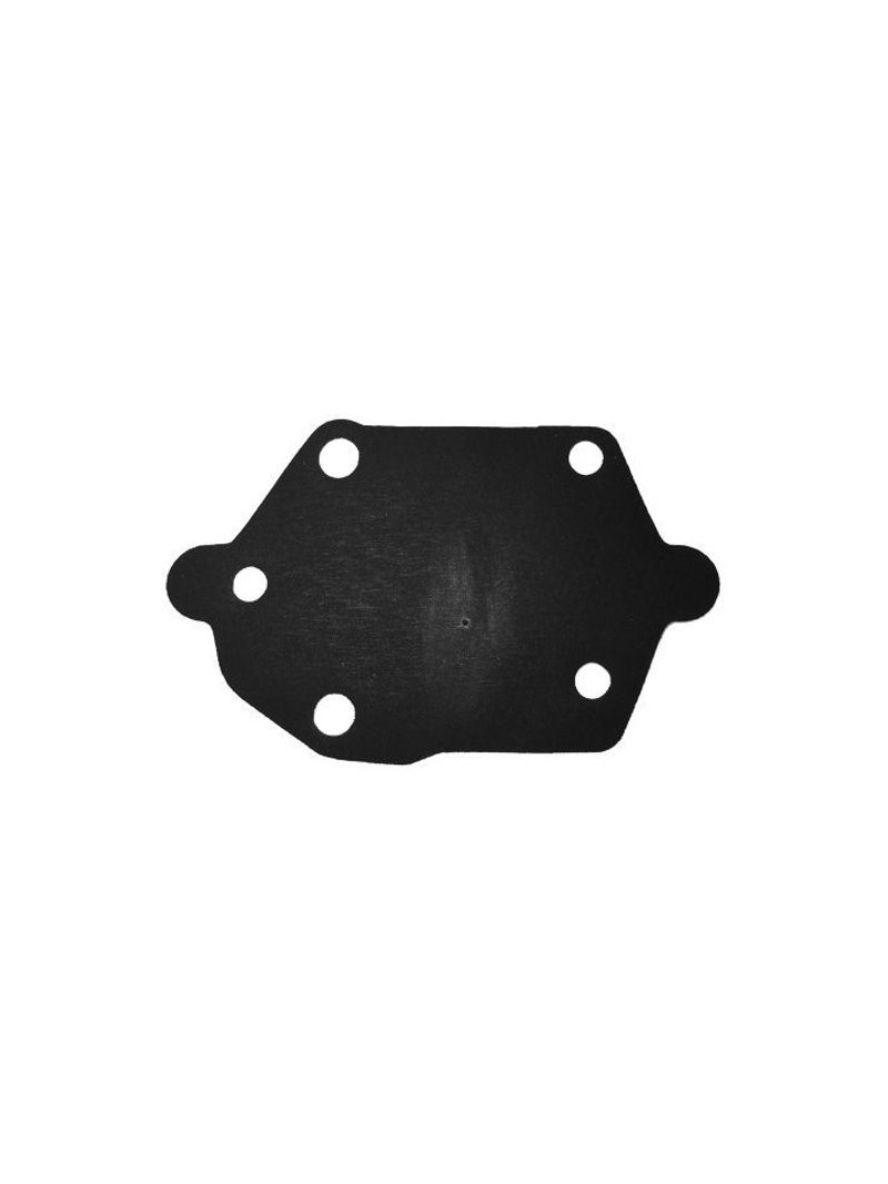 membrane pompe à essence pour 20cv à 70cv