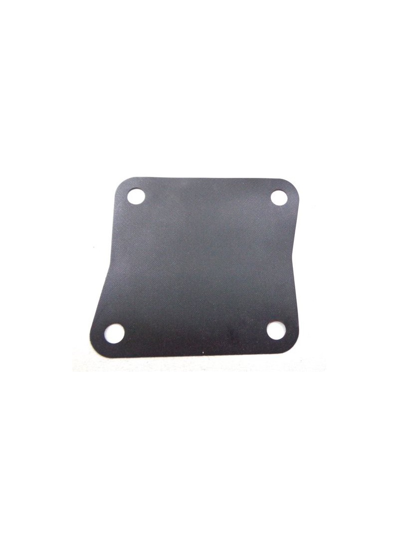 membrane pompe à essence pour F25 à F80