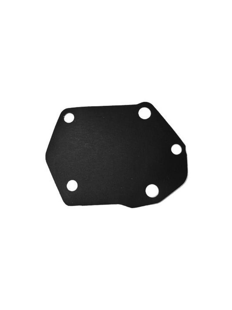 membrane pompe à essence pour 25cv à 90cv