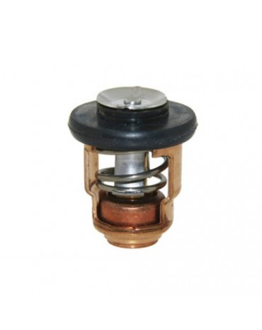 thermostat pour yamaha