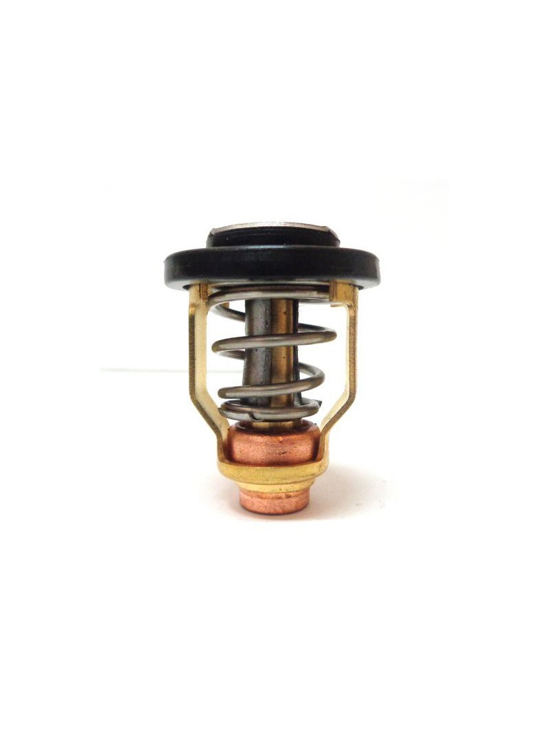 thermostat pour moteur yamaha 115/250/300 cv