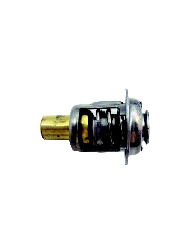 thermostat pour moteur mercury 6 à 125 cv  2 et 4 temps