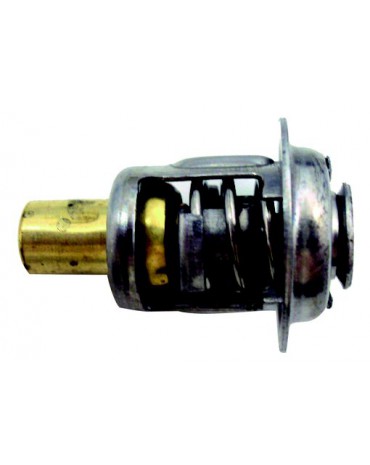 thermostat pour moteur mercury 6 à 125 cv  2 et 4 temps