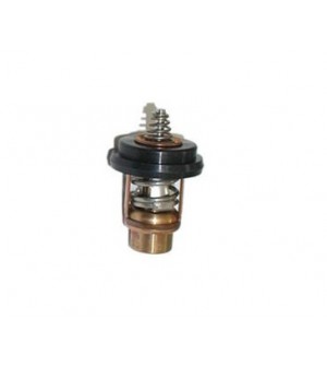 thermostat pour moteur mercury 2 à 6 cv 4 temps