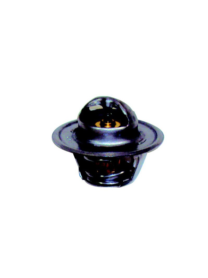 thermostat pour GM V6/V8 160°F.