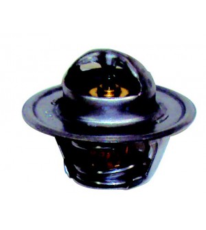 thermostat pour GM V6/V8 160°F.