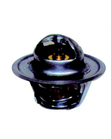 thermostat pour GM V6/V8 160°F.