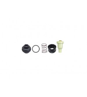 kit thermostat 5/300 E-Tec CV