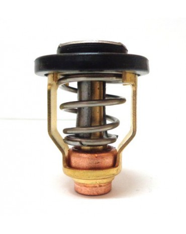 thermostat pour selva TARPON EFI 115 XSR