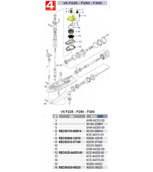 V6 F225-F250-F300