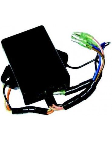 boitier électronique pour 8/9.9cv 4 temps
