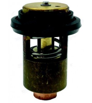 Thermostat pour Yanmar