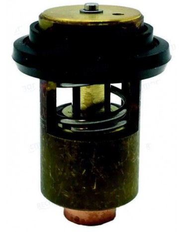 Thermostat pour Yanmar