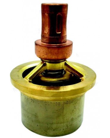 Thermostat pour Yanmar